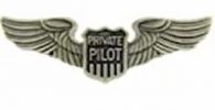 pilot Wings